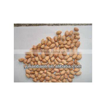 China groundnut kernel