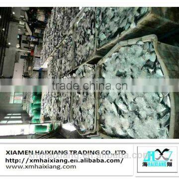 Chinese Moon fish/maculata supplier