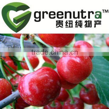 Acerola Fruit Extract