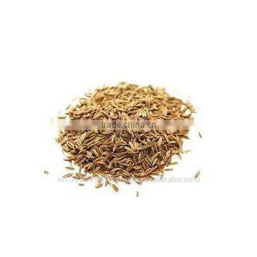 Cumin Seed Oil photo-2