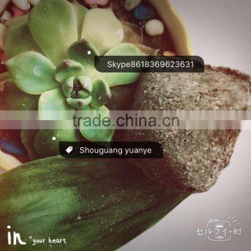 Improve the Quality Machining Performance - the Calcium Silicon Manganese photo-2