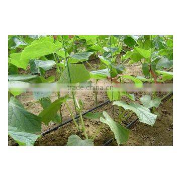 Farm Irrigation Drip Tape for Agriculture Watering 0.2mm Wall Thickness photo-2
