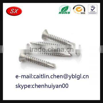 China Hardware Factory Custom Anode Steel Screw photo-2