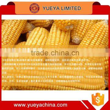 New Corn Kerneler Stripper Peeler Thresher Kitchen Tool Washable One Step photo-3