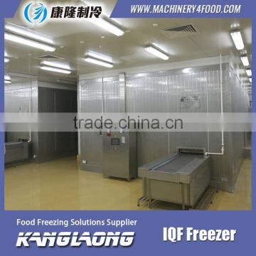 2015 New Design Spiral Conveyor Freezer