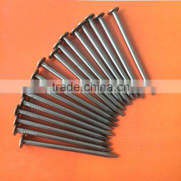 2.5 Inch Polished Commn Nails Common Wire Nail photo-3