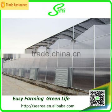 commercial greenhouse glass for sale