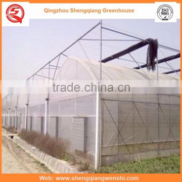 High quality 9.6m plastic film greenhouse agriculture for hot sale