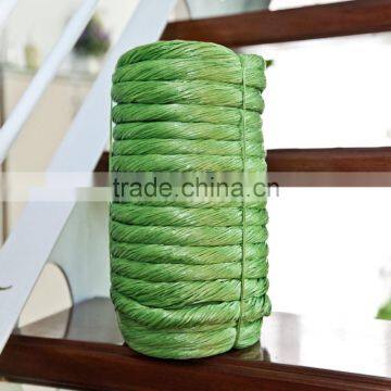 High Quality Save Tomato PP Twine photo-4