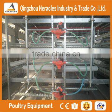 Trade Assurance Automatic Chicken Broiler Cage for Sale photo-2