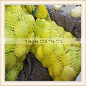 PP net vegetable bags