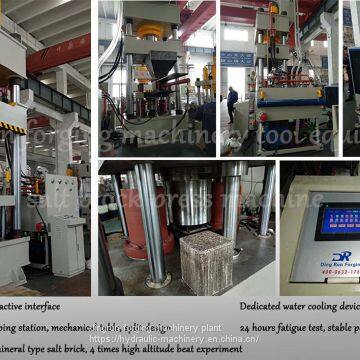 500 Ton Hydraulic Press Machine for 5kg~10kg Salt Lick Block Press photo-3