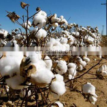 Self-automatic Hand Type Portable Cotton Picking Machine photo-3