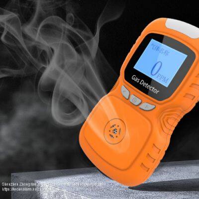 China Portable Flammble Gas Detector For People Safety