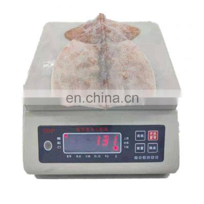 Bulk packing IQF frozen squid fillet with wing