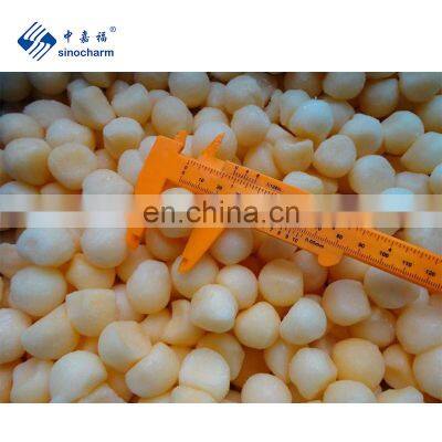 BRC A Approved Hami Melon IQF Fruit Cantaloupe Balls Frozen Cantaloupe From Sinocharm photo-3