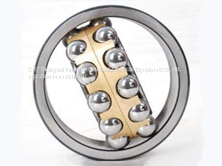 Self-aligning Ball Bearings 1207 2207 1208 2208 1209 2209 1210 2210 1211 2211 1212 2212 1213 2213