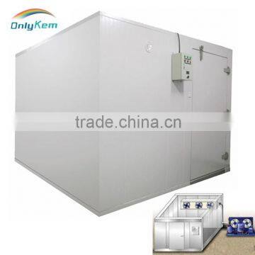 Hot Sale Meat Walk in Chiller for Family photo-4