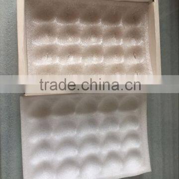 Disposable Plastic Fruit Strawberry Packaging Tray