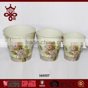 Potted Plants Colorful Window Boxes Shabby Chic Outdoor Planters photo-5