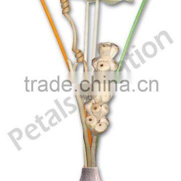 Decorative Reed diffuser set