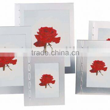 aluminum photo frame with plastic diamond