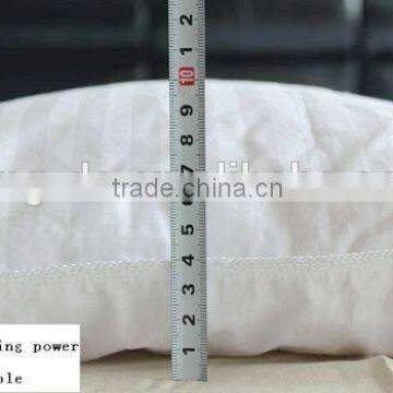 Luxury Germany Piping Edge White Goose Down Quilt photo-4