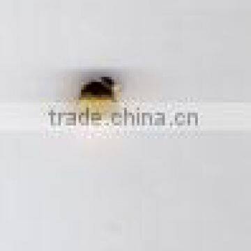 Gold Beads photo-1