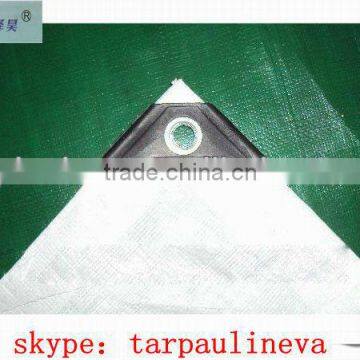 Raw Material pe Tarpaulin&aluminium Eyelet pe Tarpaulin&picnic Mat