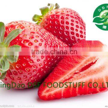 2016 new crop supply iqf strawberry