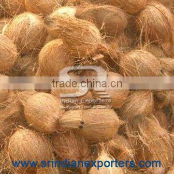 Indian Coconuts
