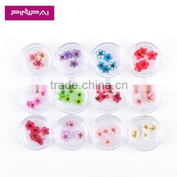 2016 12 colors Dried Dry flower UV gel acrylic false tips nail art decoration real flower