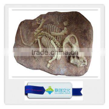 Park decoration artificial life size dinosaur bones