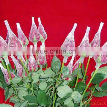 Netting for cut flowers