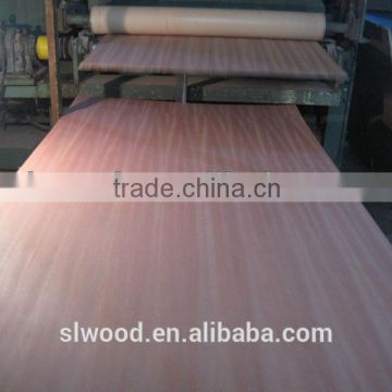 2mm 4mm 6mm 12mm 18mm 25mm sapele fancy plywood