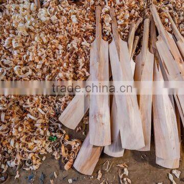 Wooden Cricket Bat