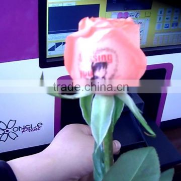 Flower printers with PC Touch screen Display Smart Operation