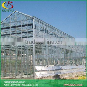 Venlo roof polycarbonate greenhouse panels toughened glass greenhouse