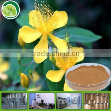 High quality hypericin/st.john's wort extract