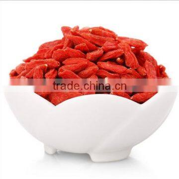 Red dried goji berries