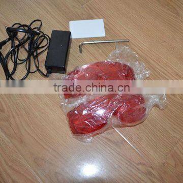 Dental Teeth Whitening Bleaching Machine photo-4