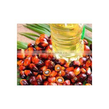 Palm Oil