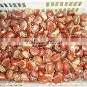 Frozen Sweet Peeled Chestnut photo-3
