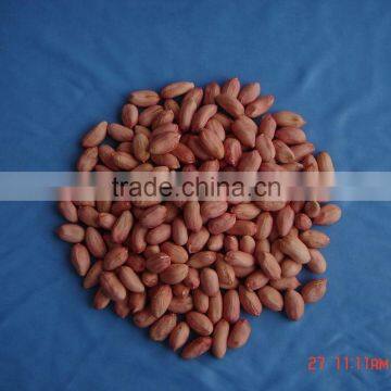 Chinese Light Peanut Kernel With Red Skin photo-6