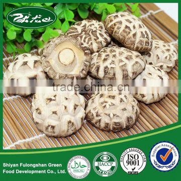 Bulk China Whole Dry Shiitake Mushroom