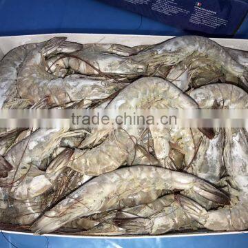 Frozen vannamei shrimp prawns fish seafood supplier for usa