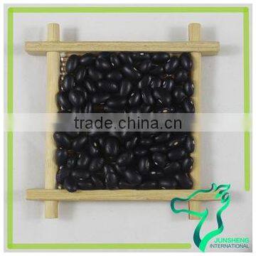 China Canned Black Bean Supply