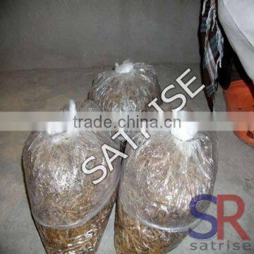 2016 High Quality Polyethylene Transparent Plastic Shiitake Mushroom Grow Bag photo-4