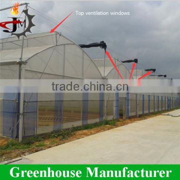 Gold quality uv resistant large polytunnel plastic greenhouse