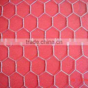 Hexagonal Wire Netting